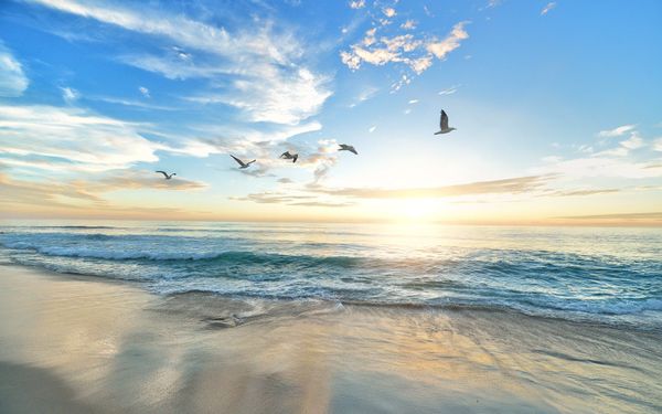 Hãy để phục vụ Chúa là mục đích cuộc đời bạn