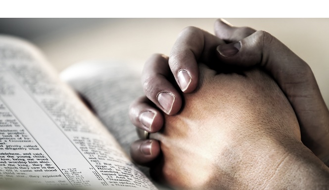 Praying Hands bible