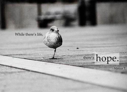 hope