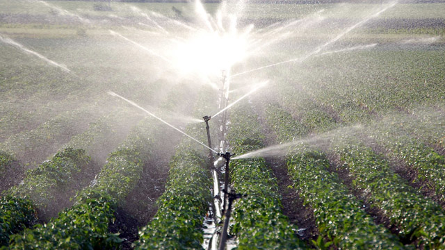 romänien,romaenien,romania,natur,bewässerung,wasser,giessen,pflanzen,pflanzen giessen.erdbeeren,land,landwirdschafft,agrar,nass,obst,flora,