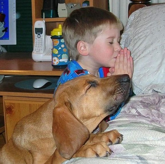 BoyAndDogPraying